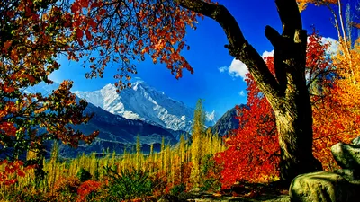 Nature Landscape Nature Nature Wallpaper 4K 1920x1080
