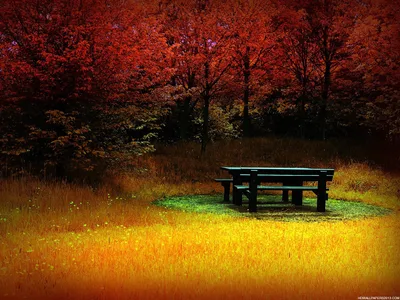 Autumn Definition Nature Nature Wallpaper 4K 1920x1440