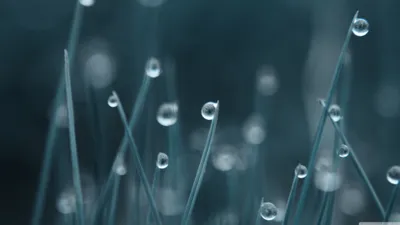 Dark Close Wallpaper Wallpaper 4K, Nature category