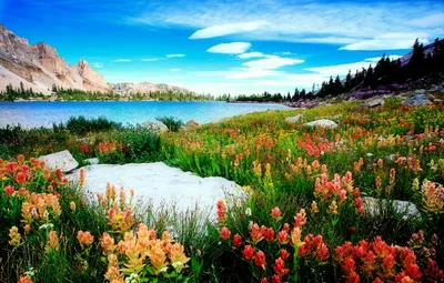 Vibrant Landscape Lake Surrounded Mountains Nature Wallpaper 4K 1900x1210 Hd, Wallpaper:, Featuring, A, Vibrant, Landscape, With, Lake, Surrounded, Mountains, Colorful, Field, White, Pink, Ultrawide