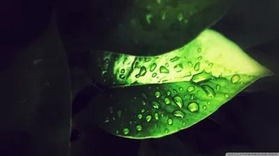 Anime Wallpaper 2046x1150 Abstract Wallpaper 4K 2046x1150 Full HD, Ultrawide