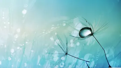 Anime Wallpaper 3838x2158 Abstract Wallpaper 4K 3838x2158 Ultrawide, QHD