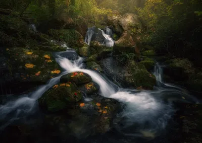 Nature Stream Mossy Wallpaper 4K, Nature category