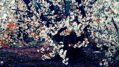 Anime Wallpaper 1918x1078 Abstract Wallpaper 4K 1918x1078 Ultrawide