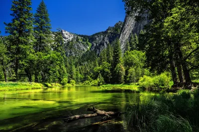 Golden Tranquil Wallpaper Nature Wallpaper 4K 2048x1365 Hd, Desktop, Wallpaper:, Of, A, Tranquil, Green, Lake, Surrounded, Dense, Forest, Towering, Red, Ultrawide, Full HD