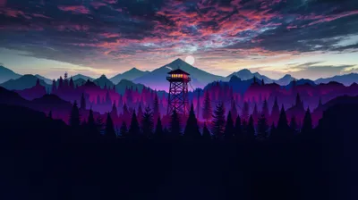 Crisp Forest Wallpaper Nature Wallpaper 4K 3840x2159