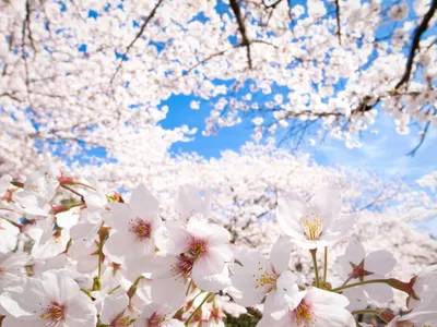 Anime Wallpaper 2558x1918 Abstract Wallpaper 4K 2558x1918 Full HD, Landscape