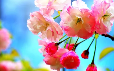 Anime Wallpaper 2558x1598 Abstract Wallpaper 4K 2558x1598 Full HD, Ultrawide
