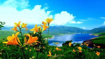 Vibrant Real Wallpaper Nature Wallpaper 4K 3648x2052