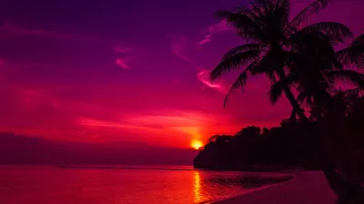 Crisp Sunset Wallpaper Wallpaper 4K, Nature category