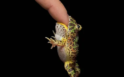 Anime Wallpaper 1918x1198 Abstract Wallpaper 4K 1918x1198 Ultrawide
