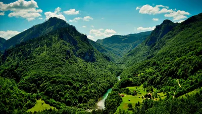 Vibrant River Flowing Lush Green Wallpaper 4K, Nature category