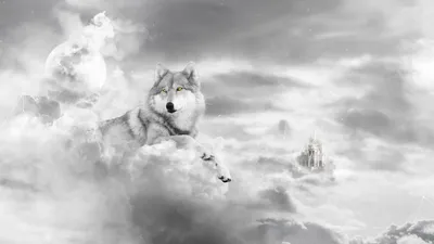 Black White Fantasy Fantasy Wallpaper 4K 2560x1440 A, Black, And, White, Hd, Fantasy, Wallpaper, Featuring, Majestic, Wolf, Clouds, Large, Gray, Ultrawide, QHD