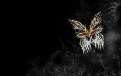 Vivid Abstract Wallpaper Animals Wallpaper 4K 1920x1200 An, Abstract, Butterfly, Design, In, Striking, White, And, Orange, Hues, Emerges, Deep, Brown, Gray, Ultrawide, Full HD