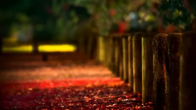 Anime Wallpaper 2558x1438 Abstract Wallpaper 4K 2558x1438 Full HD, Ultrawide