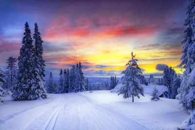 Depicting Snow Covered Nature Wallpaper 4K 2048x1363 A, Stunning, Hd, Desktop, Wallpaper, Depicting, Snow-covered, Road, Flanked, Trees, Sunset, Creating, White, Ultrawide, Full HD