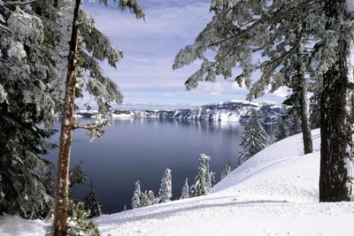 Serene Winter Landscape Snow Covered Nature Wallpaper 4K 1999x1333 A, Serene, Winter, Landscape, Featuring, Snow-covered, Trees, Overlooking, Calm, Lake, Framed, Distant, White, Full HD