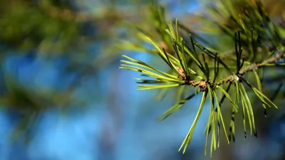 Anime Wallpaper 1918x1078 Abstract Wallpaper 4K 1918x1078 Ultrawide