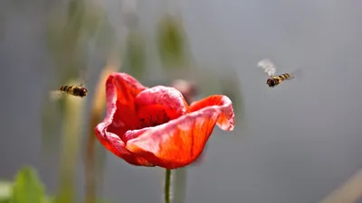 Anime Wallpaper 1918x1078 Abstract Wallpaper 4K 1918x1078 Ultrawide