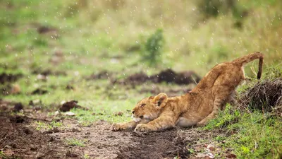 Anime Wallpaper 1918x1078 Abstract Wallpaper 4K 1918x1078 Ultrawide
