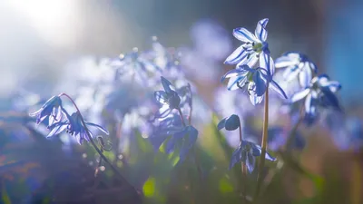 Anime Wallpaper 1918x1078 Abstract Wallpaper 4K 1918x1078 Ultrawide