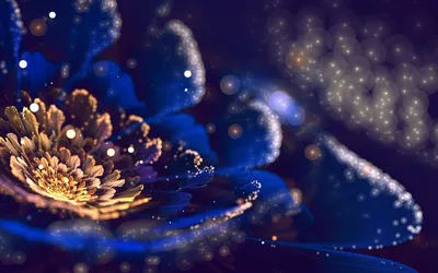 Vibrant Abstract Wallpaper Nature Wallpaper 4K 1680x1050 An, Abstract, Hd, Desktop, Wallpaper, Featuring, A, Close-up, Vibrant, Flower, Illuminated, Shimmering, Brown, Gray, Ultrawide