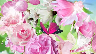 Epic Butterfly Wallpaper Animals Wallpaper 4K 1920x1080 Butterfly, On, Flowers, By, Ma, Donna, White, Ultrawide, Full HD
