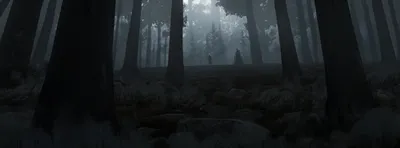 Anime Character White Hair Black/Dark Wallpaper 4K 4000x1480 An, Anime, Character, With, White, Hair, Stands, In, Dark, Misty, Forest, Scene, Black, Ultrawide, 4K