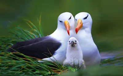 Anime Wallpaper 1918x1198 Abstract Wallpaper 4K 1918x1198 Ultrawide
