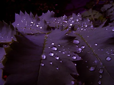 Anime Wallpaper 1924x1443 Abstract Wallpaper 4K 1924x1443 Full HD, Landscape