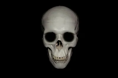 Vibrant Minimalist Wallpaper Black/Dark Wallpaper 4K 1920x1272 Minimalist, Dark, Hd, Pc, Desktop, Wallpaper, Featuring, A, Detailed, Human, Skull, Centered, Gray, Ultrawide, Full HD
