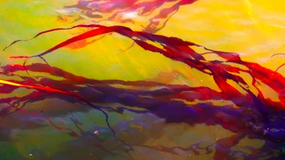 Colors Artistic Space Space Wallpaper 4K 3840x2160 Colors, Artistic, Space, Hd, Desktop, Wallpaper, Background, Purple, Yellow, Ultrawide, 4k