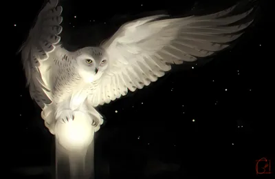 Bold Fantasy Wallpaper Space Wallpaper 4K 3425x2222 Hd, Fantasy, Wallpaper, Featuring, A, Majestic, Snowy, Owl, Outstretched, Wings, Perched, Glowing, White, Gray, Ultrawide, QHD