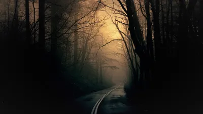 Vibrant Dark Wallpaper Wallpaper 4K, Black/Dark category