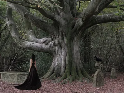 Dark Gothic Mysterious Figure Flowing Black/Dark Wallpaper 4K 2048x1536 A, Dark, Gothic, Scene, Featuring, Mysterious, Figure, Flowing, Black, Gown, Standing, Before, Gray, Brown, Landscape, Full HD