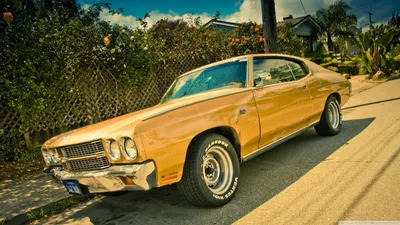 Sleek Yellow Wallpaper Cars Wallpaper 4K 2560x1440 A, Striking, Yellow, Chevrolet, Chevelle, Ss, Parked, On, Sunny, Street, Showcasing, Classic, Orange, Brown, Ultrawide, QHD