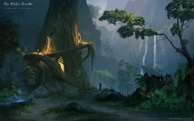 Video Game Elder Wallpaper 4K, Nature category