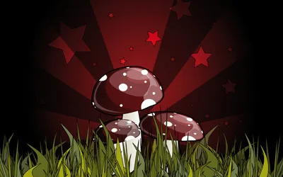 Artistic Mushrooms Grassy Field Dark Space Wallpaper 4K 1680x1050 Artistic, Hd, Wallpaper, Featuring, Mushrooms, In, A, Grassy, Field, Dark, Red, Starry, White, Brown, Ultrawide