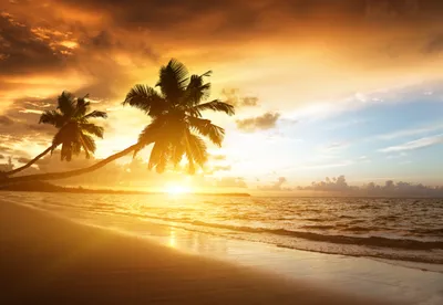 Bold Serene Wallpaper Nature Wallpaper 4K 5224x3604 A, Serene, Beach, Scene, Featuring, Palm, Trees, Silhouetted, Against, Stunning, Sunset, Over, White, Landscape, 4k