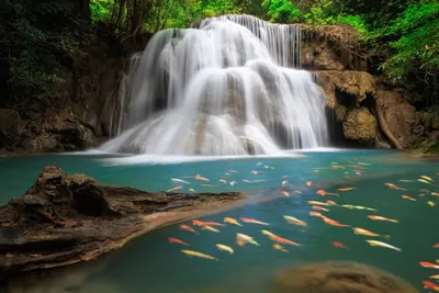 Sleek Depicting Wallpaper Nature Wallpaper 4K 5760x3840 Hd, Desktop, Wallpaper, Depicting, A, Tranquil, Waterfall, Scene, Swarm, Colorful, Koi, Fish, Gray, White, Landscape, 4k