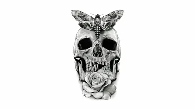 Dark Detailed Skull Moth Black/Dark Wallpaper 4K 8850x4977 8k, Ultra, Hd, Pc, Desktop, Wallpaper, Featuring, A, Dark, Detailed, Skull, Moth, White, Gray, Ultrawide, 4k