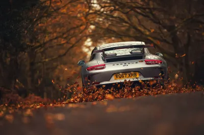 Dark Silver Wallpaper Nature Wallpaper 4K 4096x2730 Rear, View, Of, A, Silver, Porsche, 911, Gt3, Driving, Through, Leaf-covered, Forest, White, Gray, Brown, Ultrawide, 4k