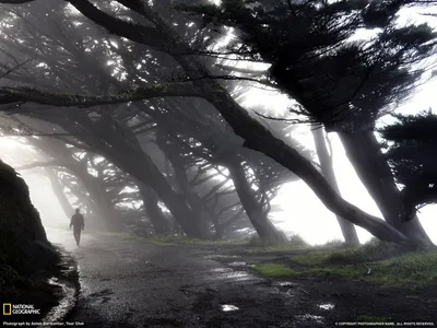 Anime Wallpaper 1598x1198 Abstract Wallpaper 4K 1598x1198 Landscape