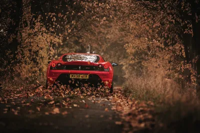 Red F430 Car Cars Wallpaper 4K 3000x2002 Red, Ferrari, F430, Car, Driving, Down, A, Leaf-covered, Forest, Road, Captured, Vivid, Brown, Landscape, QHD