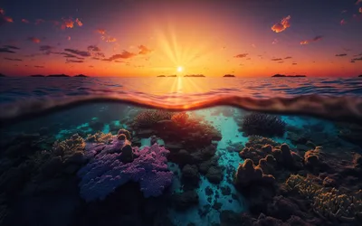 Bold Sunset Wallpaper Nature Wallpaper 4K 2880x1800