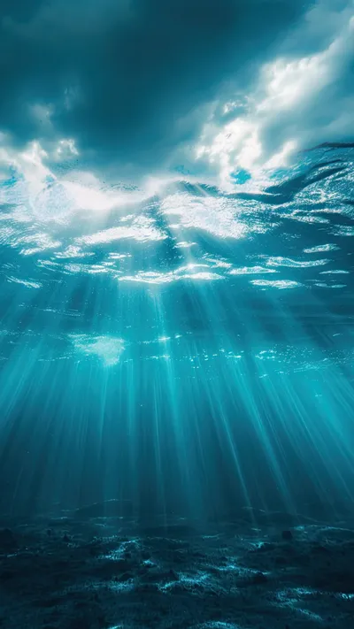 Ocean Marine Underwater Nature Wallpaper 4K 1440x2560