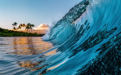 Ocean Waves Palm Trees Tropical Nature Wallpaper 4K 1920x1200