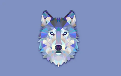 Sleek Abstract Wallpaper Animals Wallpaper 4K 2560x1600 An, Abstract, Representation, Of, A, Wolf, Featuring, Vibrant, Facets, Blue, Purple, Creates, Gray, Ultrawide, QHD