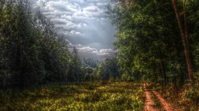 Vibrant Nature Wallpaper Nature Wallpaper 4K 1920x1080