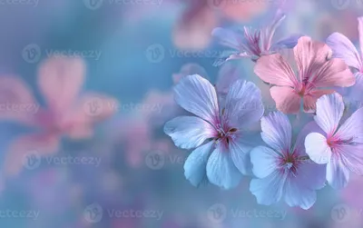 Flowers Stock Flower Nature Wallpaper 4K 3121x1960